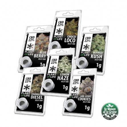 Coffret découverte - Résine CBD 22% Coffret découverte - Résine CBD 22%