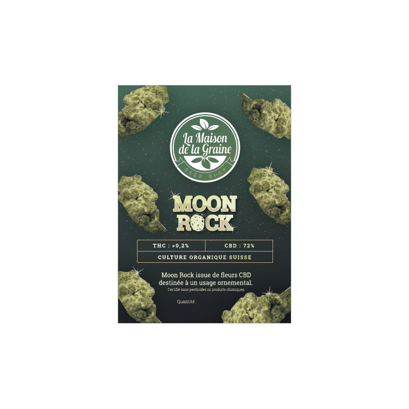 Moon Rock Moon Rock