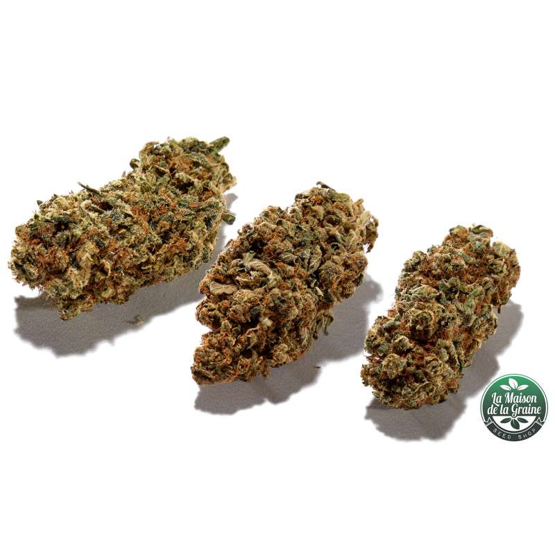 Coffret Cadeau Spécial Expert en Cannabis Légal