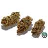 Coffret Cadeau Spécial Expert en Cannabis Légal