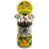 Sucette Cannabis Lolly - Strawberry Haze