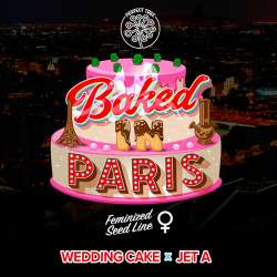 Baked In Paris - Perfect Tree
