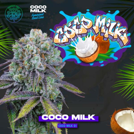 Coco Milk - Perfect Tree