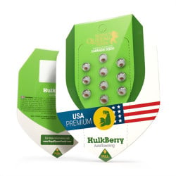 Hulkberry Automatic de Royal Queen Seeds