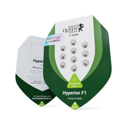 Hyperion F1 - Royal Queen Seeds