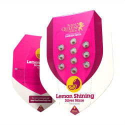 Lemon Shining Silver Haze - Royal Queen Seeds