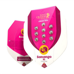 Somango XL de Royal Queen Seeds