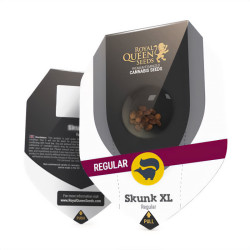Skunk XL Regular - Royal Queen Seeds
