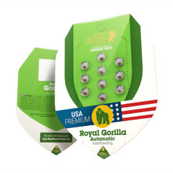 Royal Gorilla Automatic - Royal Queen Seeds