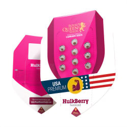 HulkBerry de Royal Queen Seeds