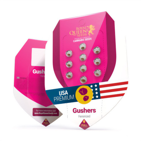 Gushers - Royal Queen Seeds