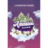 Amnesia Haze - MDLG Seeds