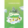 Gorilla - MDLG Seeds