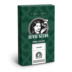 Shiva Shanti Régulières de Sensi Seeds