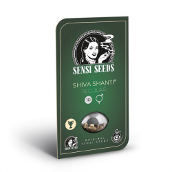 Shiva Shanti Régulières - Sensi Seeds