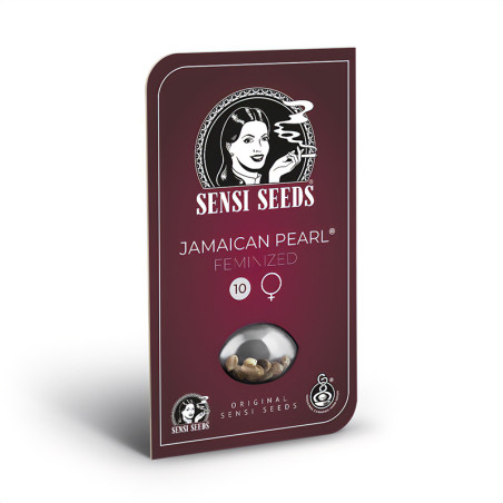 Jamaican Pearl - Sensi Seeds