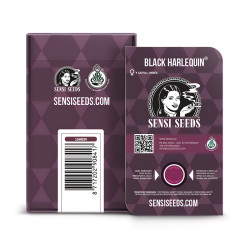 Black Harlequin CBD de Sensi Seeds