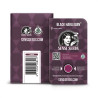 Black Harlequin CBD - Sensi Seeds