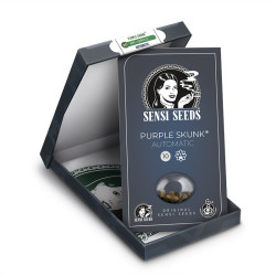 Purple Skunk Auto - Sensi Seeds