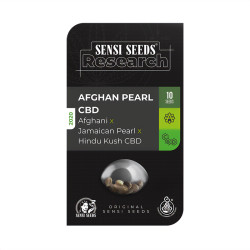 Afghan Pearl CBD Auto de Sensi Seeds