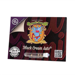 Black Cream Auto - Sweet Seeds
