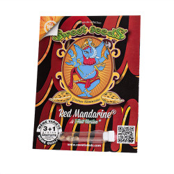 Red Mandarine F1 Fast Version - Sweet Seeds