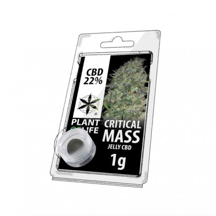 Résine CBD 22% - Critical Mass Résine CBD 22% - Critical Mass