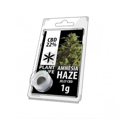 Résine Amnesia Haze