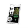 Pollen Amnesia Haze - Plant of Life Pollen Amnesia Haze - Plant of Life