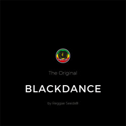 Black Dance de Reggae Seeds