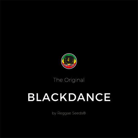 Black Dance - Reggae Seeds