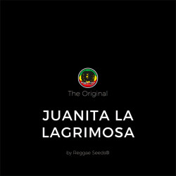 Juanita la Lagrimosa - Reggae Seeds