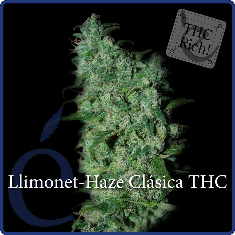Llimonet Haze THC de Elite Seeds