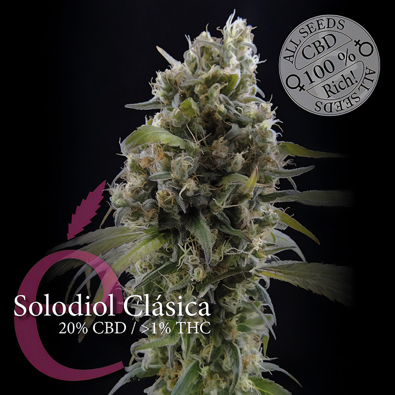 Solodiol Classic CBD - Elite Seeds