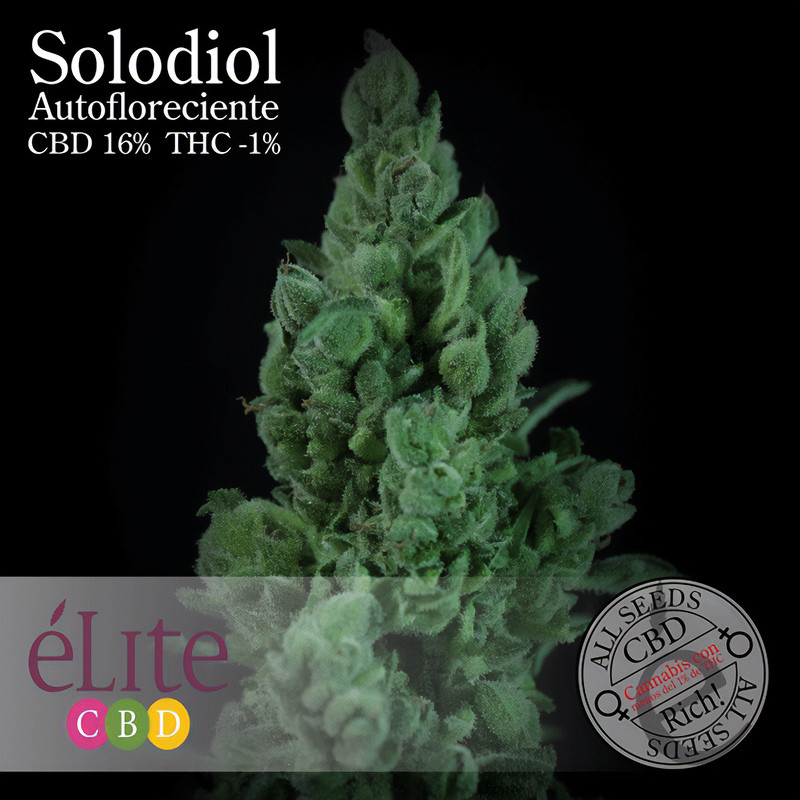 Solodiol CBD Auto - Elite Seeds