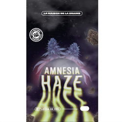 Fleurs de Amnesia Haze CBD