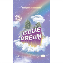 Pochon de Fleurs de Blue Dream CBD