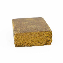 Hash Gorilla CBD
