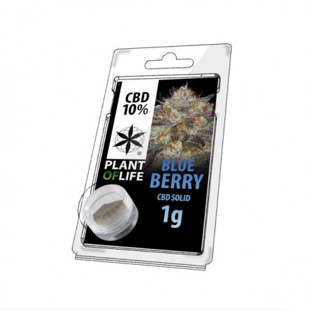Pollen CBD 10% - Blueberry Pollen CBD 10% - Blueberry