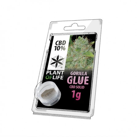 Pollen Gorilla Glue Pollen Gorilla Glue