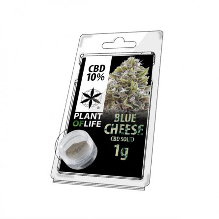 Pollen CBD 10% - Blue cheese Pollen CBD 10% - Blue cheese