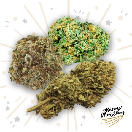 Coffret de Noël - Cannabis Légal Coffret de Noël - Cannabis Légal