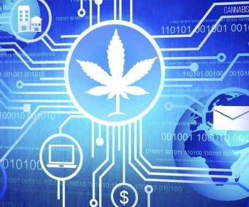 Le cannabis et la blockchain