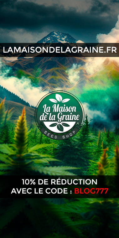 Boutique de graines de cannabis en France