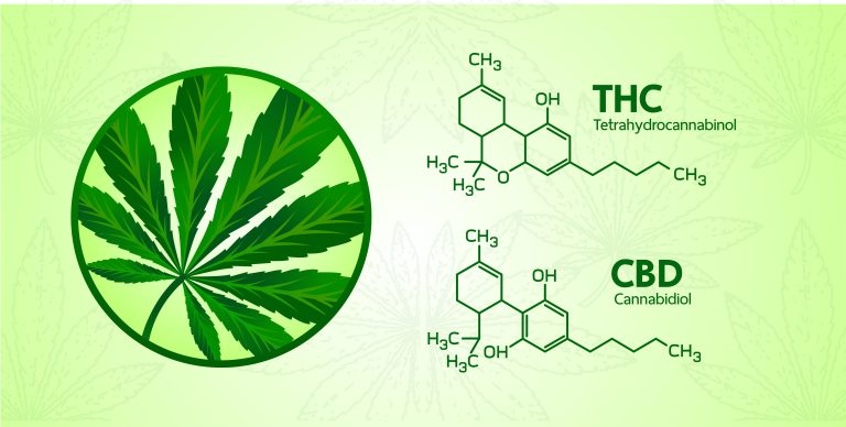 Graphique molécule THC et CBD du Cannabis