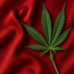 Cannabis et sexualité