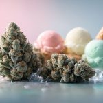 Comparatif des 3 meilleures variétés Gelato à cultiver