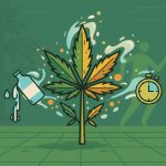 Guide pour éliminer le THC de votre organisme