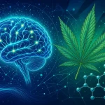 Effets du cannabis sur le cerveau, illustration style manga coloré