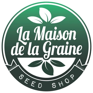 Blog Cannabis de la Maison de la Graine